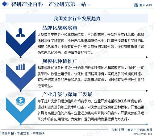 黨參行業分析報告 市場規模、供需態勢、競爭格局及投融資動態解析
